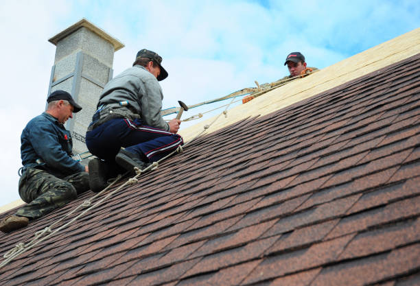 Best Roof Gutter Cleaning  in Lyman, MS